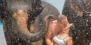 Tragjedi në Guatemalë: Botuesi milioner norvegjez dhe gruaja e tij shtatzënë humbin jetën në rrëzimin e aeroplanit