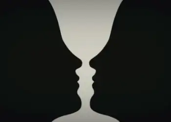 Dy fytyra apo një vazo? Ajo që shihni e para në foto zbulon personalitetin tuaj