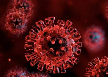 Variant i ri i COVID-19 në qarkullim: çfarë dihet për ‘Cicada’?