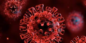 Variant i ri i COVID-19 në qarkullim: çfarë dihet për ‘Cicada’?