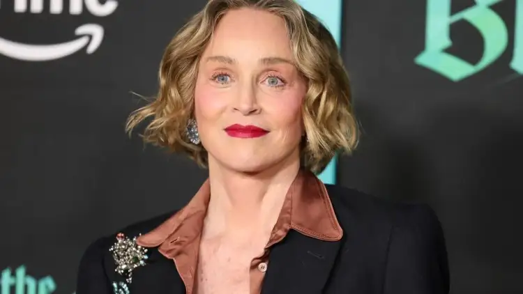 Skena erotike në 1992, Sharon Stone: Humba kujdestarinë e djalit tim për shkak të kësaj