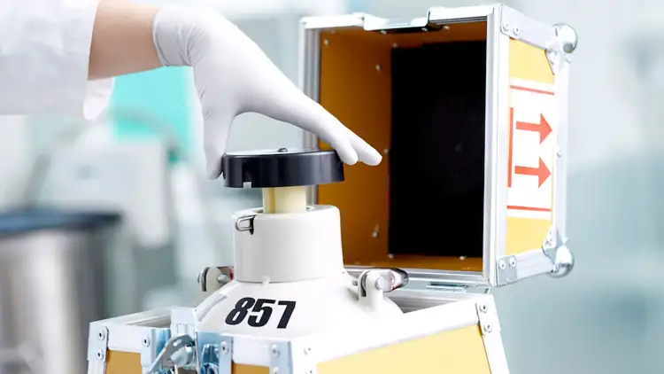 “Foshnjat Viking”/ Pse Danimarka është kthyer në qendrën globale të dhurimit të spermës dhe debatet që po ngre kjo industri?