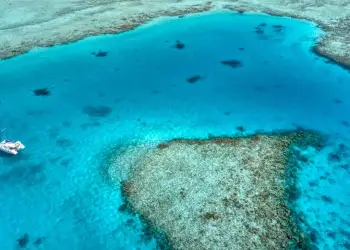 Tragjedi në Maldive, pesë turistë italianë humbin jetën gjatë zhytjes