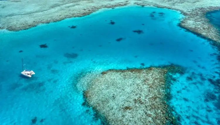 Tragjedi në Maldive, pesë turistë italianë humbin jetën gjatë zhytjes