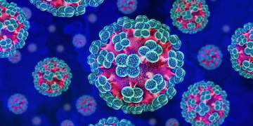 Alarm në Europë: pasagjeri me hantavirus zbret në Amsterdam, transport urgjent drejt spitalit