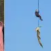 Zbulim i rëndë në Afrikën e Jugut, krokodili që u kap me helikopter kishte përpirë një njeri