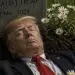 Zemërim në Shtëpinë e Bardhë për foton e Mark Hamill të Trump të vdekur në një varr: “Je i sëmurë”