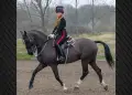 Tronditje në Britani/ Ushtarja 24-vjeçare vritet para Mbretit Charles gjatë demonstratës